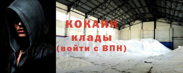 индика Беломорск