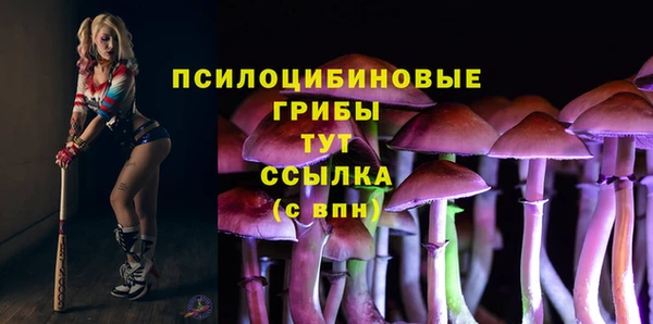 сатива Богданович