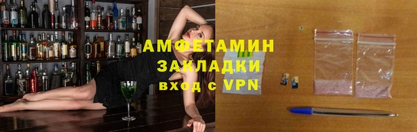 индика Беломорск