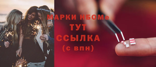индика Беломорск