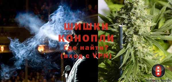 сатива Богданович
