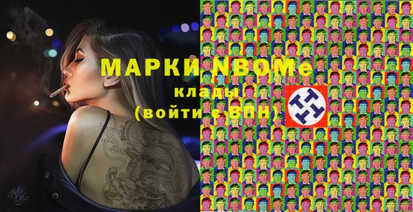 индика Беломорск