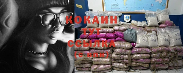 индика Беломорск