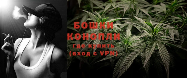 индика Беломорск