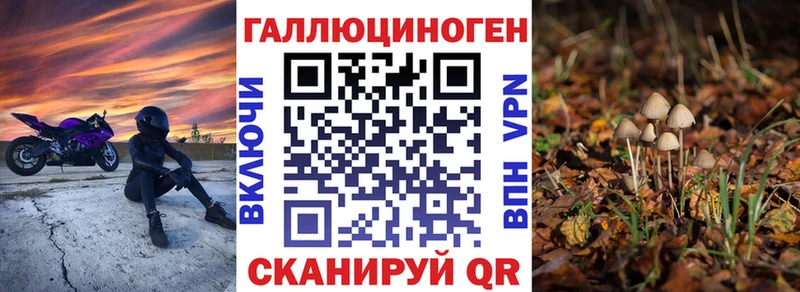 купить закладку  Морозовск  ОМГ ОМГ как зайти  Псилоцибиновые грибы Psilocybe 